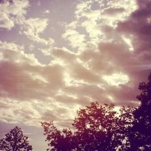 Meet your Posher, Benney